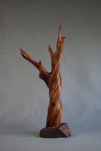 twisted cedar