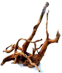 driftwood3