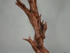LAST TREE STANDING Chadd Hass
