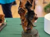 NWDA-2023-Give-a-Hoot