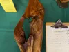 NWDA-2023-Silent-Auction-2