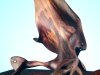 38-Dolphin-Dancing-by-Sheri-Shirk