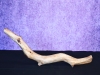 AllietheGator