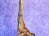HooDoo