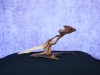 Roadrunner