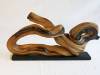 63-Wood-Duck-Anca-Moldoveanu