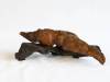54-Mr-PNW-Slug-Diann-Mize