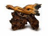 03-Guardian-Melody-Wilson