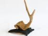 21-Picasso's-Snail-Judy-Herman